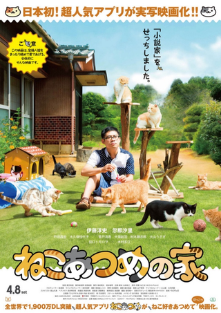 Illustration for article titled Neko Atsume Could Seriously Be The First Good Video Game Movie